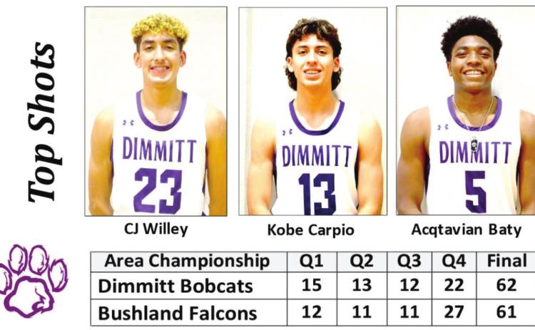 Bobcats capture Area Championship