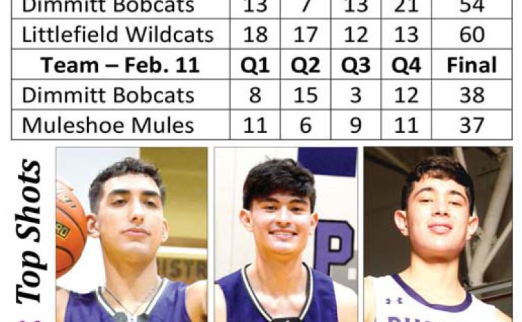 Bobcats headed for playoff