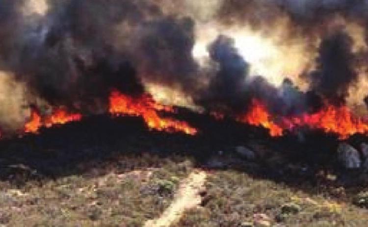 Wildfire danger increases