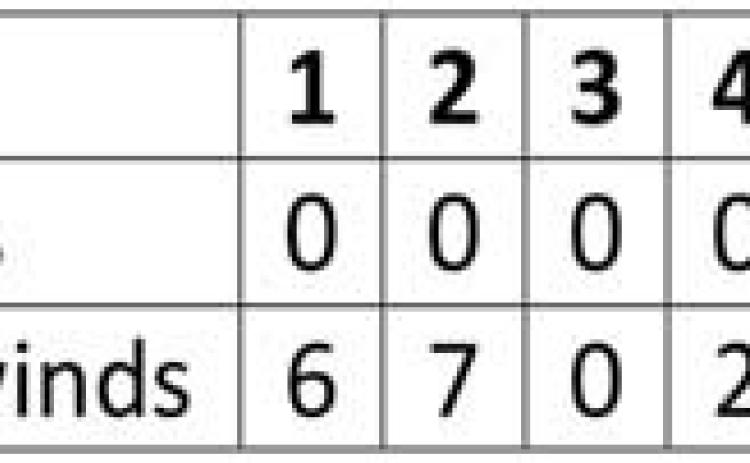 Bobbies fall to