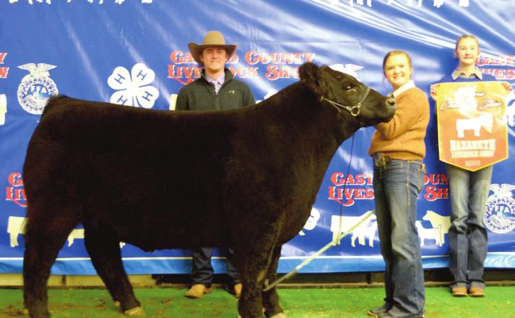 (Photo above) Reserve Champion Steer – Harper Johnson, Nazareth FFA