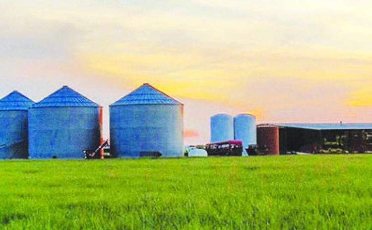 TFB delegates establish new policies
