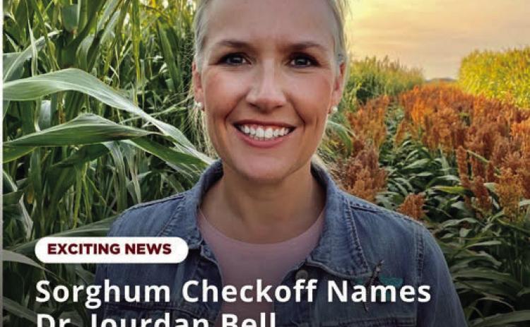 JOINS SORGHUM CHECKOFF--Dr. Jourdan Bell is joining the United Sorghum Checkoff Program as Director of Agronomy on Oct. 1, succeeding Dr. Brent Bean, who retires Sept. 30 after more than a decade advancing sorghum production, research and producer education. Dr. Bell brings extensive experience as a Professor and Extension Agronomist with Texas A&amp;M AgriLife Extension, with a research focus on sorghum and other crops under limited water conditions.