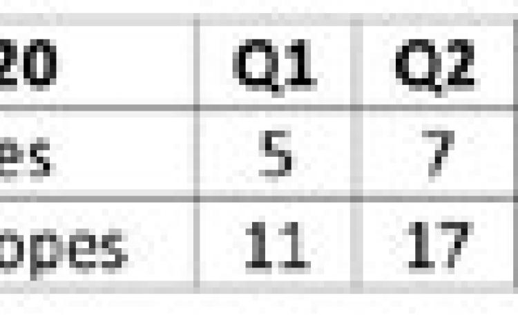 Swiftettes fall to Lady Lopes