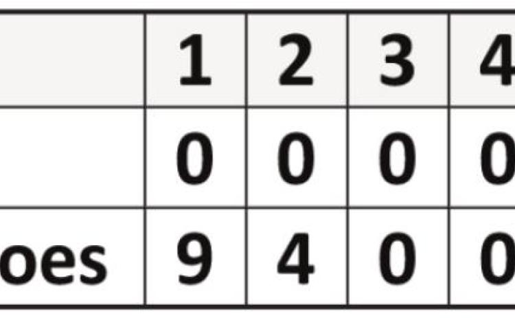 Bobbies lose to Lamesa