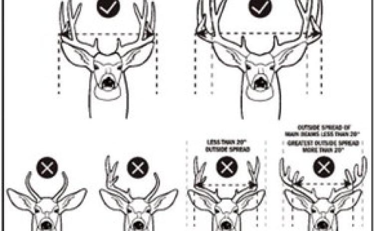 New mule deer restrictions added
