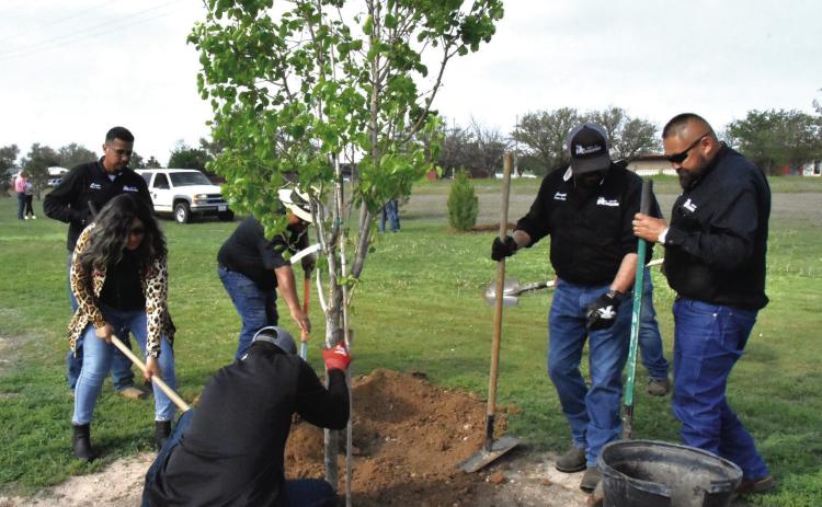 FUTURE SHADE--City personnel are seen planting a tree in this file photo from 2025 when an effort to plant more trees in Hereford was launched. Ten more 15-gallon trees are to be planted April 24. (Photo by Jim Steiert)