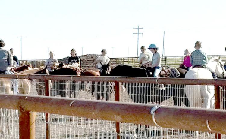 Castro County 4-H