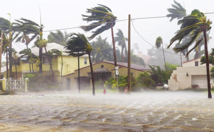 NOAA predicts above-normal