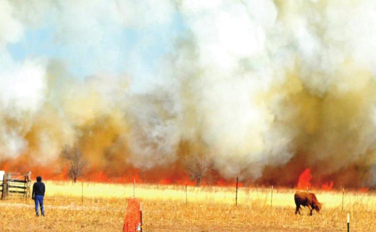 Firefighters battle fast-moving blazes