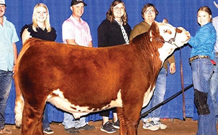 Nazareth FFA Harper Johnson placed Reserve Champion Red Cross at the South Plains Fair.