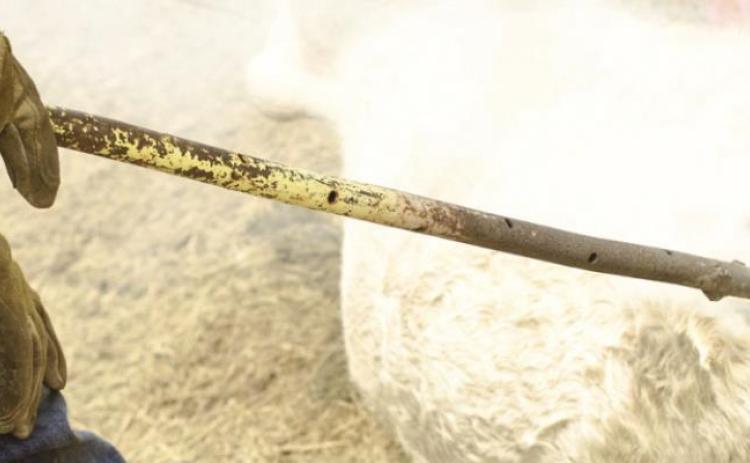 Texas cattle brand deadline nears