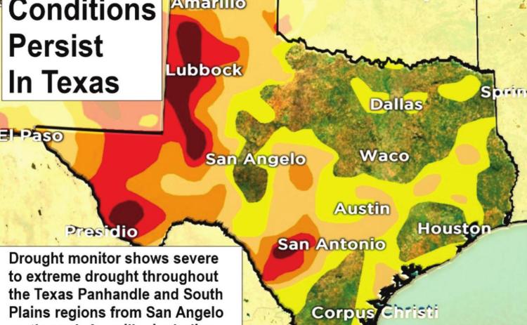 Drought continues across Texas, U.S.