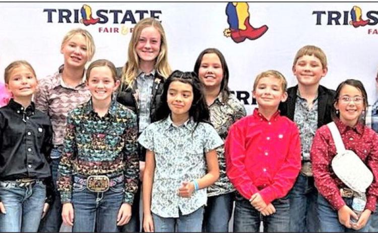 The Castro County 4-H Judging Team competed at the Tri-State Fair in Amarillo last Thursday. Team 1 placed 4th; Team 2 placed 8th; Team 3 placed 10th. Trystan Crow placed 8th overall and Steeley Moore3rd in Reasons and11th overall. Judging team coaches are Jessica Moore and Mary Crow.