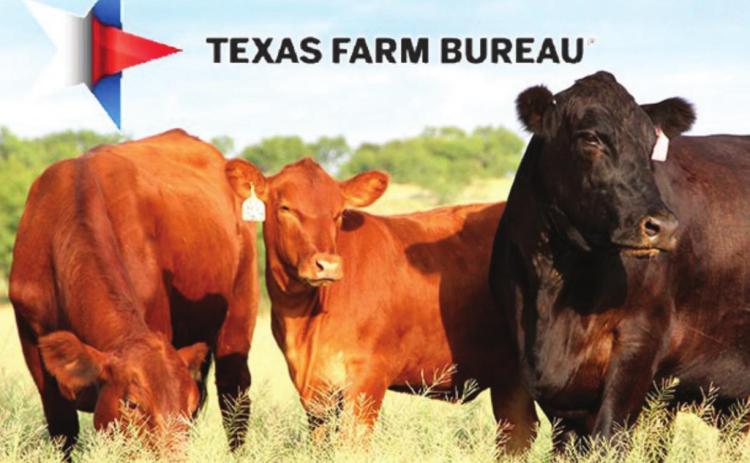 Livestock issues top concerns at AFBF policy meeting