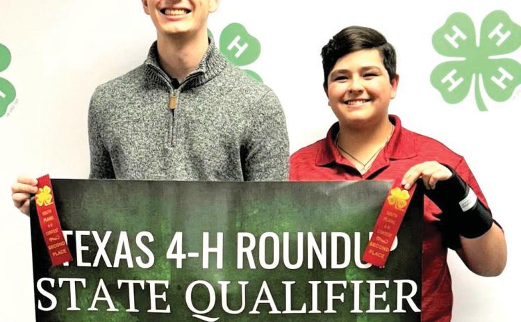 Castro 4-H scores
