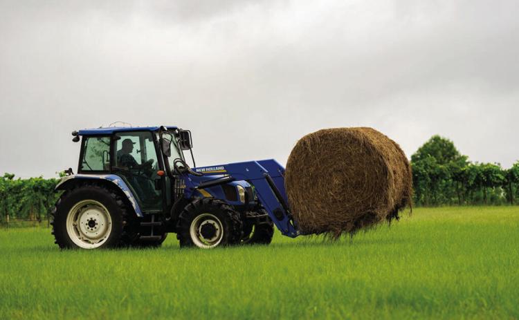 A bumper hay crop is starting to dwindle as supplies are being used in the wake of dry weather. (Sam Craft/Texas A&amp;M AgriLife)