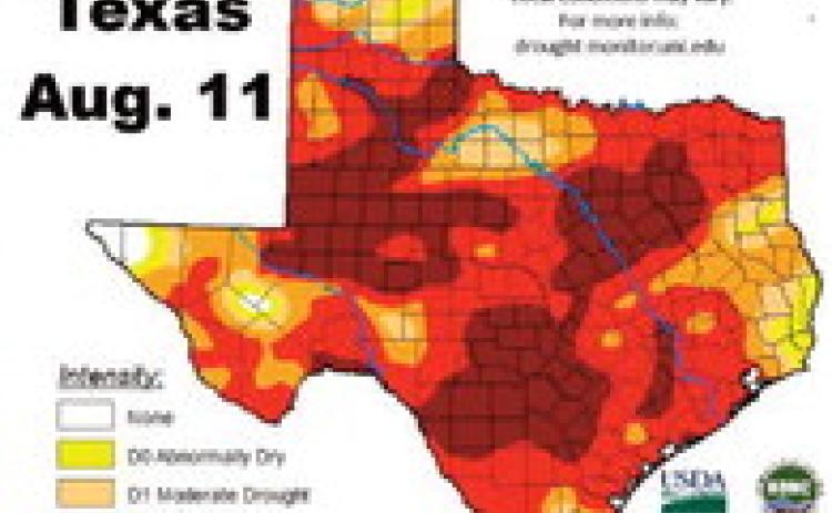Drought persists in South Plains, Panhandle region
