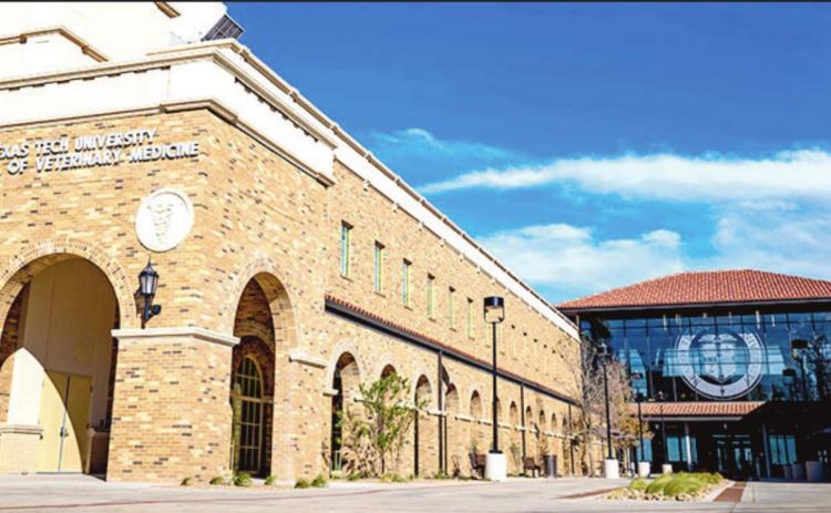 TTU vet school to host ribbon cutting