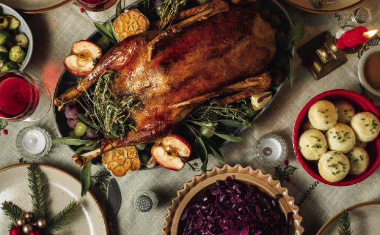 God bless the goose of the Christmas feast