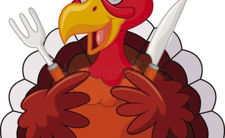 Turkey facts for