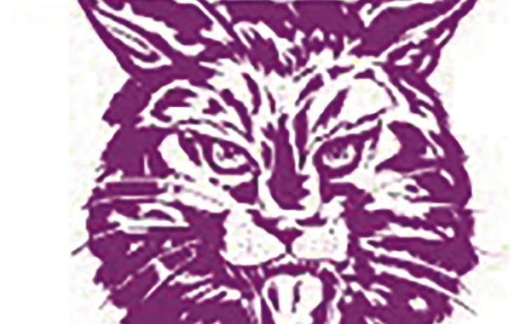 DMS Bobcats begin to