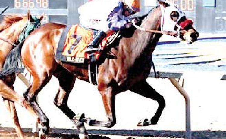 Lamesa horse Wild On Ice and jockey, Ken Tohill