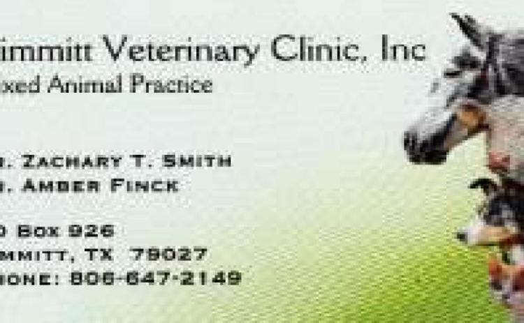 Pet Talk