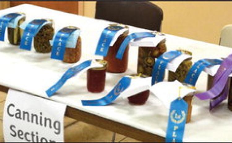 The County Fair entries were tough contenders for the blue ribbons in numerous divisions with both youth and adults participating. (See inside for Division results)