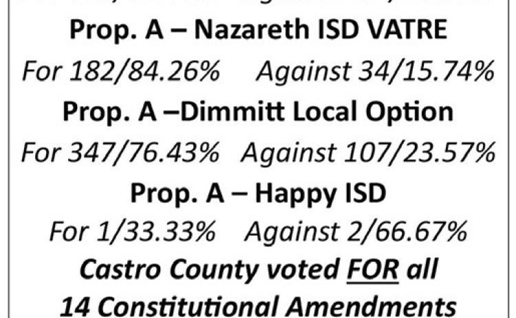 Texas voters approve amendments