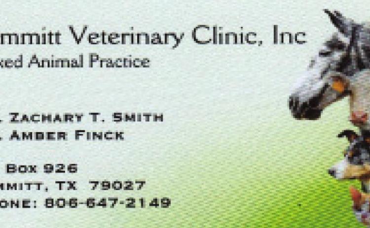 Pet Talk