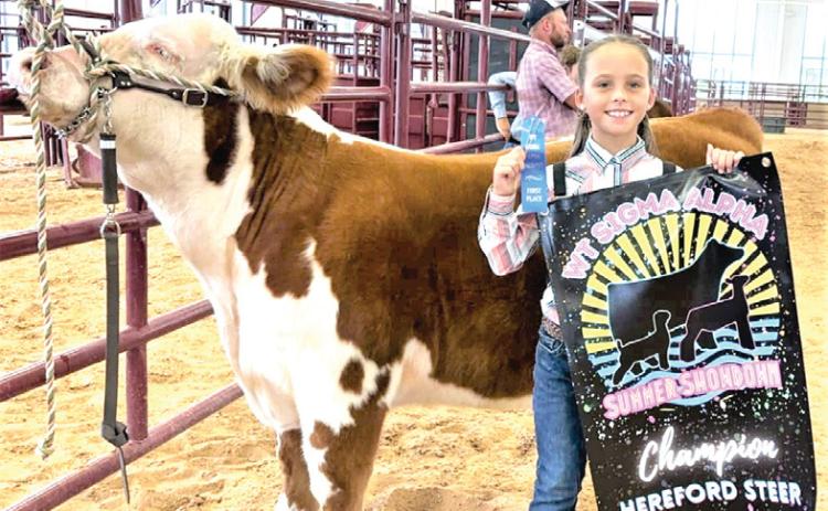 Naz FFA closed out the summer at the Sigma Alpha Summer Showdown with Gabby Heck winning Champion Hereford. Hadlee Hoelting won Reserve AOC and 5th overall steer and Chandler Hoeltingwon Reserve Polled Hereford.