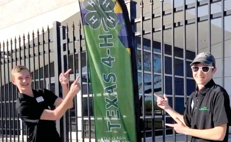 Area 4-H: Star & STEM