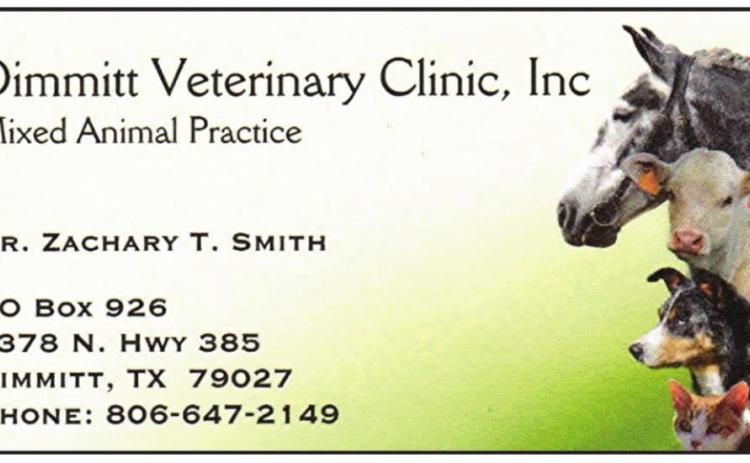 Pet Talk