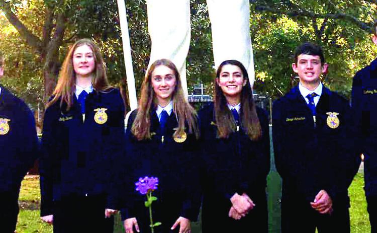 Naz FFA Updates