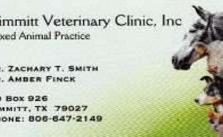 Pet Talk