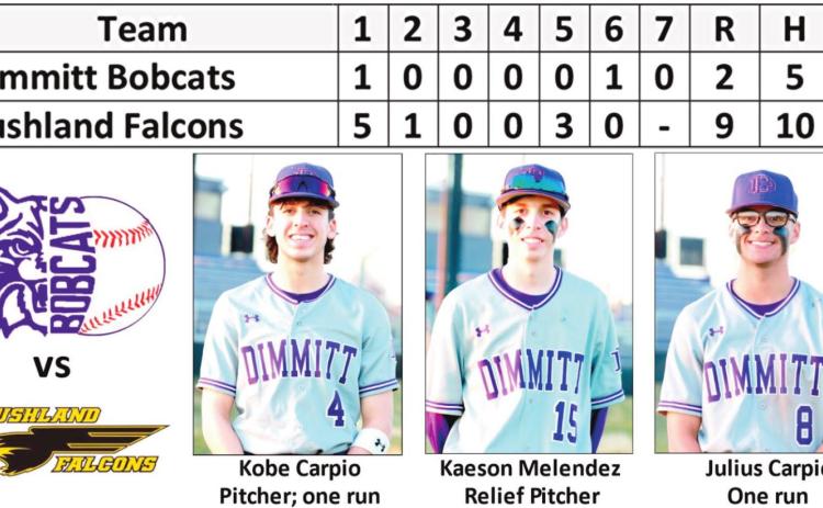 Bobcats fall to Bushland