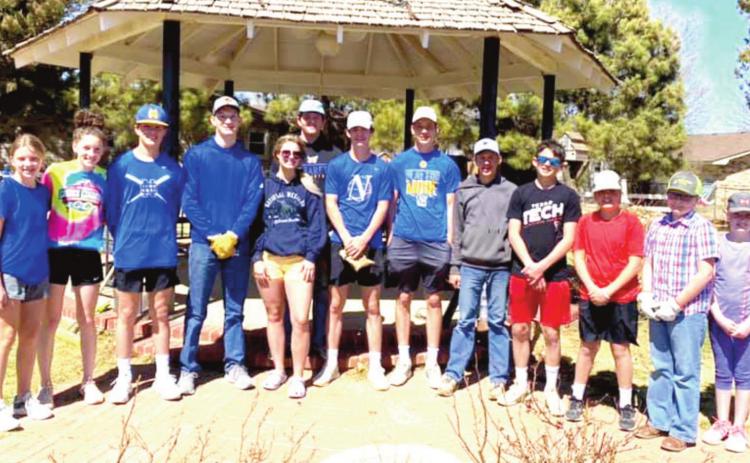 Community park cleanup