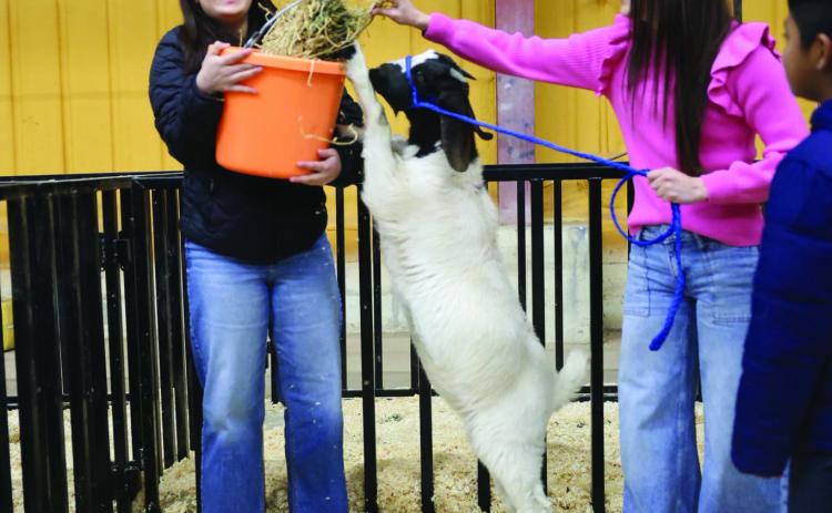 AG IN THE CLASSROOM