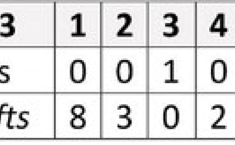 Swifts win no hitter against Patriots