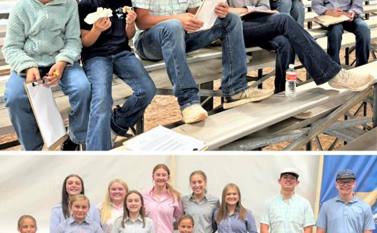 The Nazareth FFA livestock judging teams kicked off the judging season by competing at the Texas Braunvieh Association contest at Clarendon College. Junior Division: Team Placing – 4th. Izzy Heck (2nd) and Gabby Heck; Intermediate Division - Team Placing -5th, Addie Birkenfeld; Senior Division: Team Placing -3rd, Harper Johnson, Pierce Wilhelm, Daniel Schacher; Emily Durbin; and Team Placing – 6th, Taryn Wethington, Autumn Birkenfeld, Alishia Osterkamp and Lexi Ramaekers.