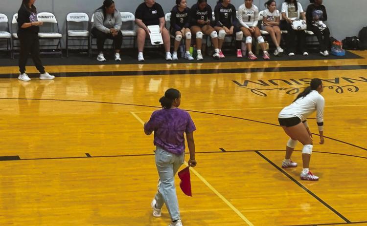 The Vega Lady Longhorns knocked off the Dimmitt Bobcats 25-16, 25-14, 25-10 Saturday at home. With the loss, Dimmitt drops to 0-2 on the season. The Bobcats host West Texas in a non-district bout today.