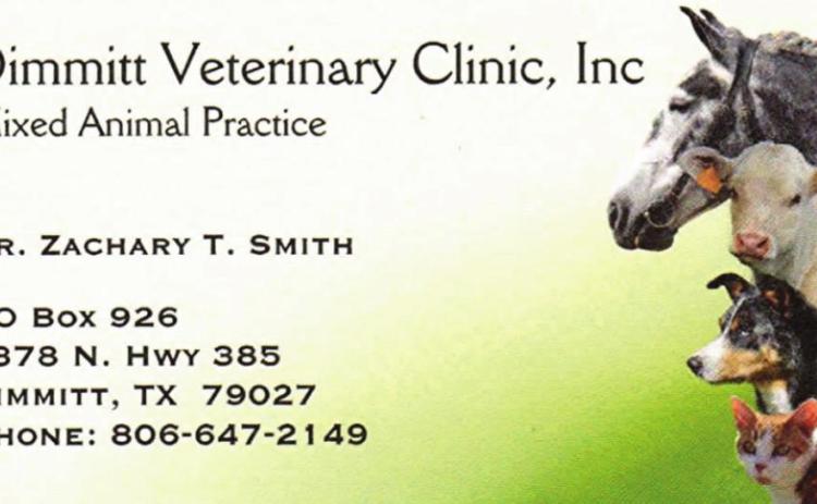 Pet Talk