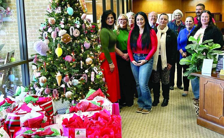 The Deaf Smith County Child Welfare Board
