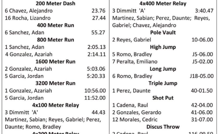 DHS, DMS solid at Bobcat Relays