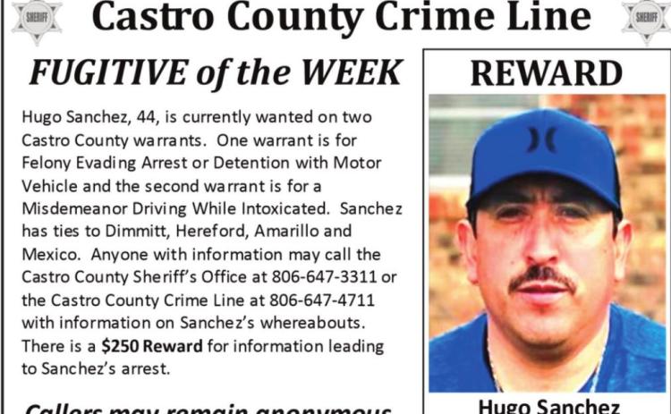 Castro County Sheriff’s Office Report