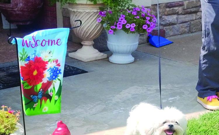 Pet Pic of the Week