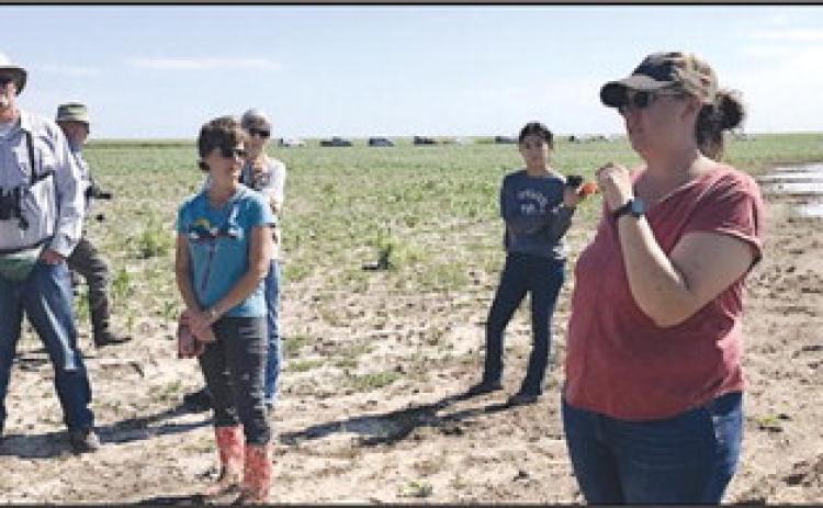 Playa field day set for  Sept. 28 in Anton