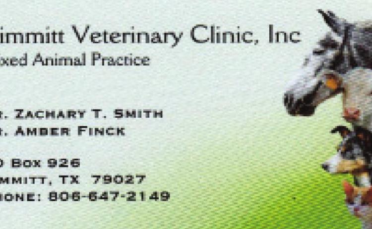 Pet Talk