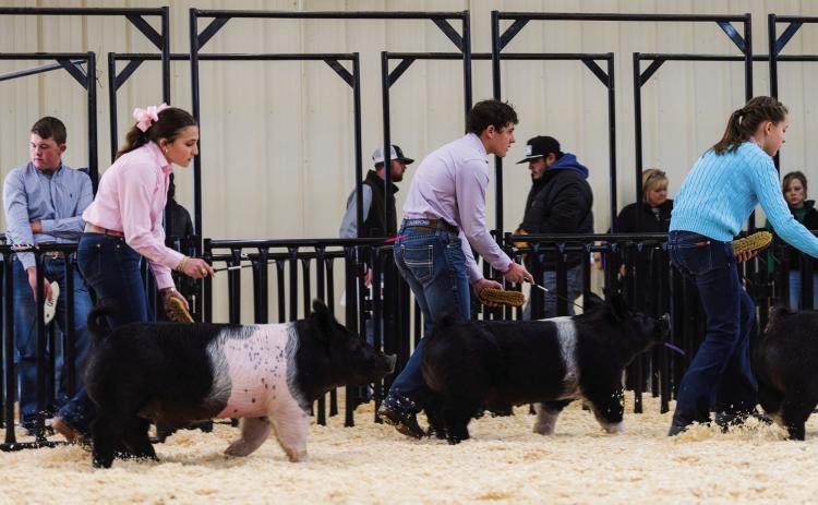 Castro County Livestock Show Results